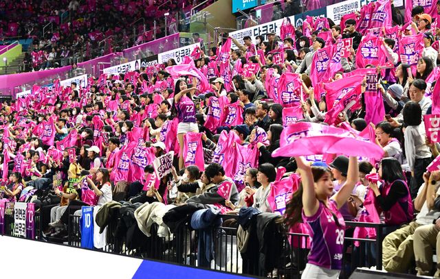 응원을 펼치는 흥국생명 팬. /한국배구연맹 제공
