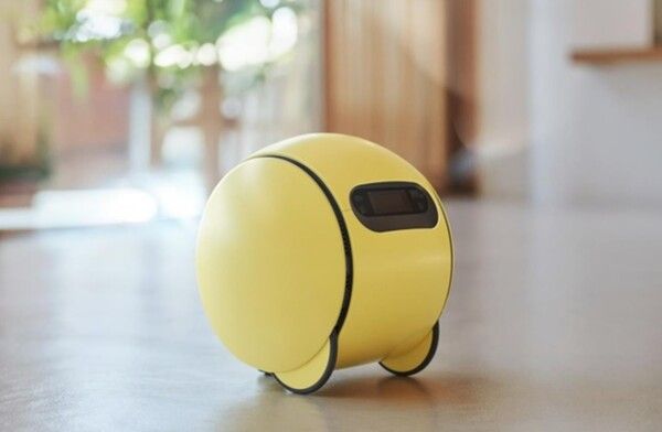 삼성전자는 CES 2025 프레스 콘퍼런스에서 AI 컴패니언 로봇 볼리(Ballie)를 올해 상반기에 출시한다고 발표했다. / 삼성전자