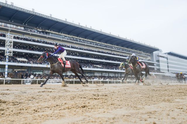 작년 그랑프리 '글로벌히트' 우승 장면. /한국마사회 제공