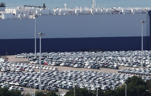 경기도 평택항에 수출용 자동차가 세워져 있는 모습. /연합뉴스.