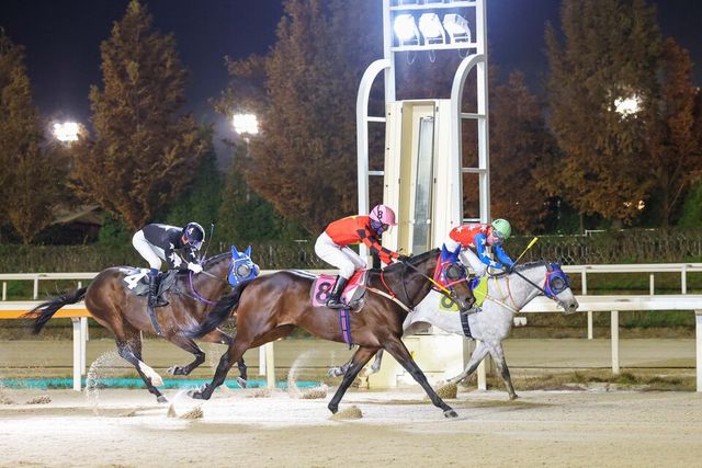 원펀치드래곤(8번, 분홍색). /한국마사회 제공