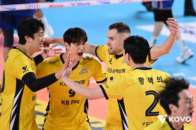 나경복(왼쪽부터), 임성진, 비예나가 득점 후 기뻐하고 있다. /KOVO 제공