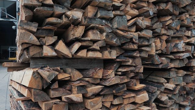 동화기업 파티클보드 생산 공장에 적재된 산불 피해목./동화기업