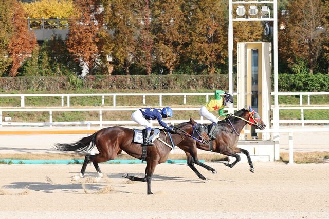 청산질주와 비에스스톰(왼쪽부터). /한국마사회 제공