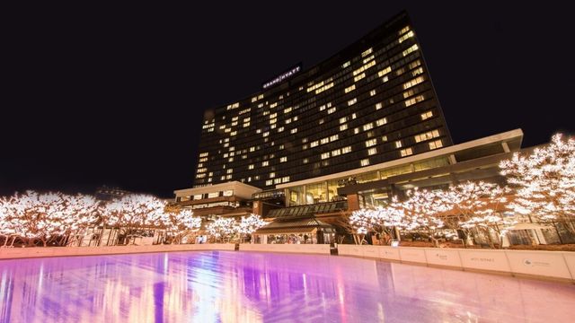 그랜드 하얏트 서울의 야외 아이스링크 전경. /그랜드 하얏트 서울 제공