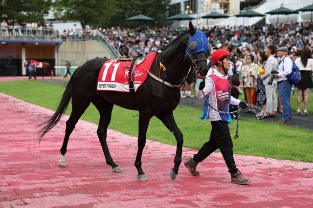 슈퍼피니시. /한국마사회 제공