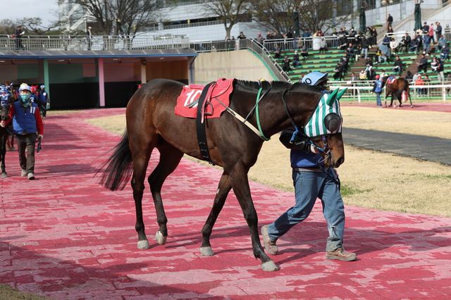 영광의월드. /한국마사회 제공
