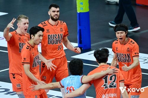 OK저축은행 선수들이 기뻐하고 있다. /한국배구연맹 제공