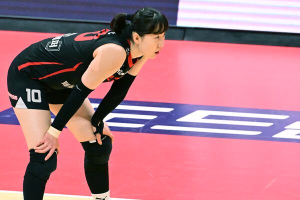 박정아. /KOVO 제공