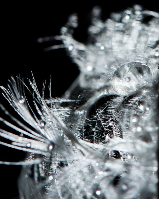 코오롱스포츠 제공