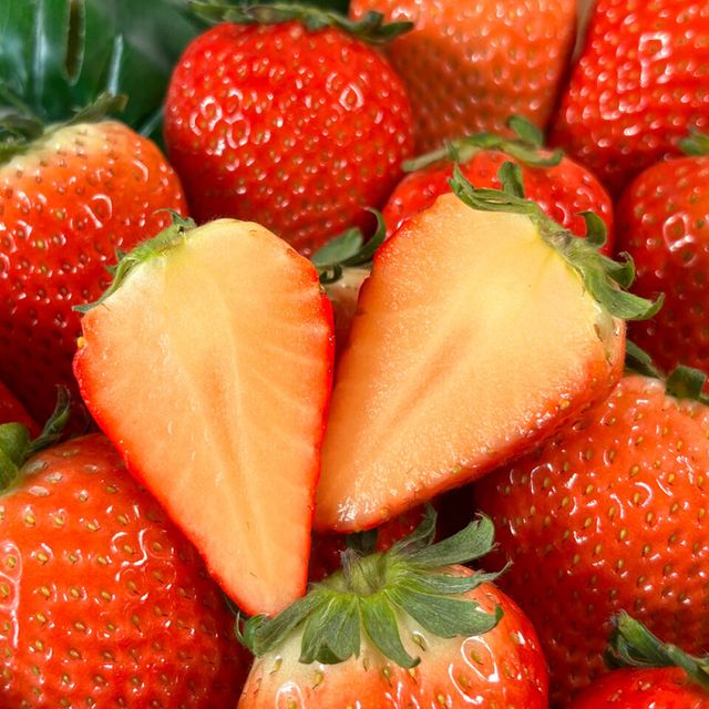 신세계라이브쇼핑 제공