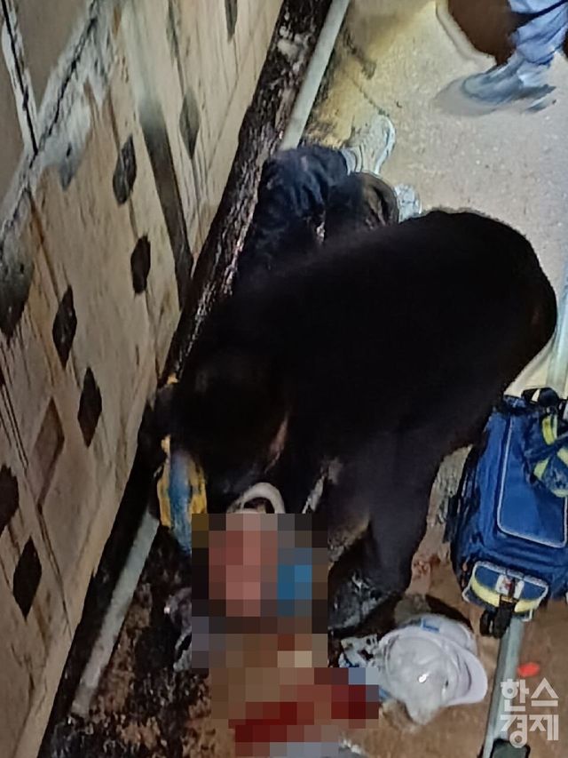 19일 오전 경기 성남시 중1구역 도시환경정비사업 공사현장에서 근로자 1명이 약 3m 아래로 추락해 쓰러져 있는 모습./현장 내 관계자 제공