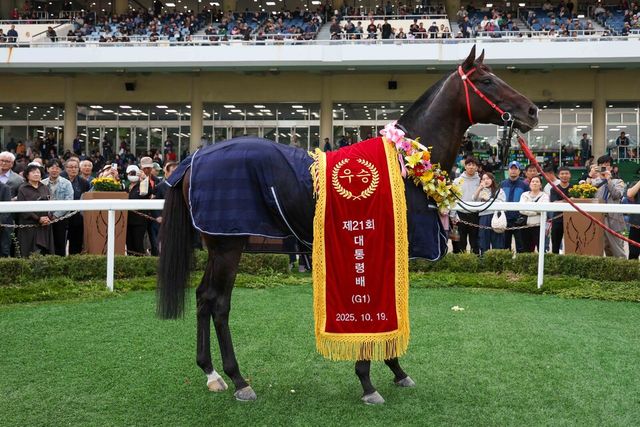 연도대표마 선정된 '스피드영'. /한국마사회 제공