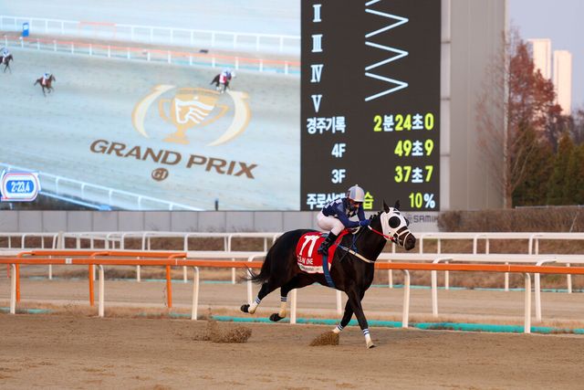 클린원과 다실바기수 결승선 통과 직전 모습. /한국마사회 제공