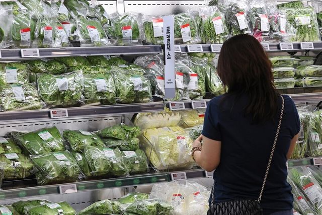 대형마트 채소코너. 사진/연합뉴스