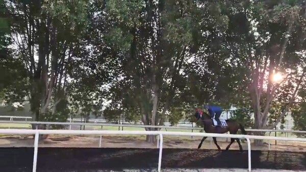 두바이 메이단에서 훈련중인 글로벌히트 모습. /한국마사회 제공