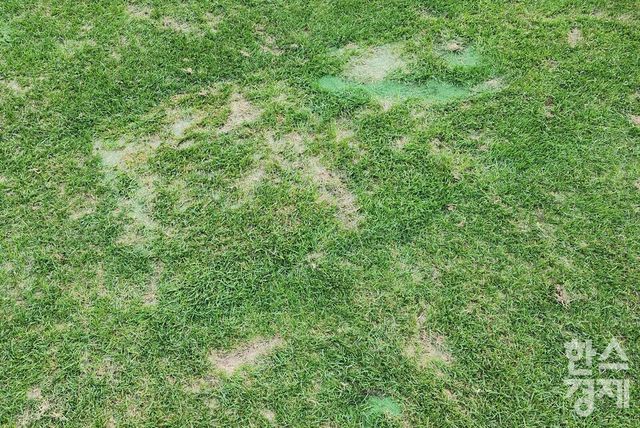 지난해 9월 17일 ACLE 리그 페이즈 1차전 당시 광주월드컵경기장. 잔디가 고르게 자라지 못해 색모래를 뿌린 흔적이 보인다./류정호 기자