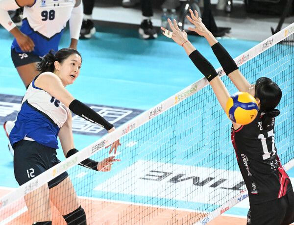 프로배구 V리그 여자부 현대건설 이다현(왼쪽). /한국배구연맹 제공