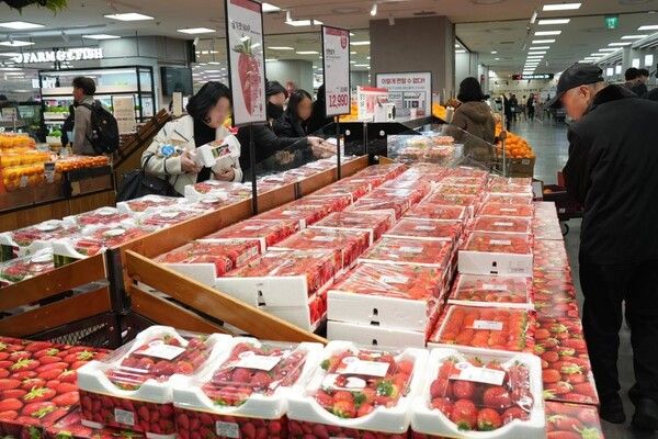 한국은행이 20일 발표한 '2024년 1월 생산자물가지수(잠정)'에 따르면, 지난달 생산자물가지수는 120.18로 작년 12월(119.52)보다 0.6% 올랐다. /롯데마트 제공