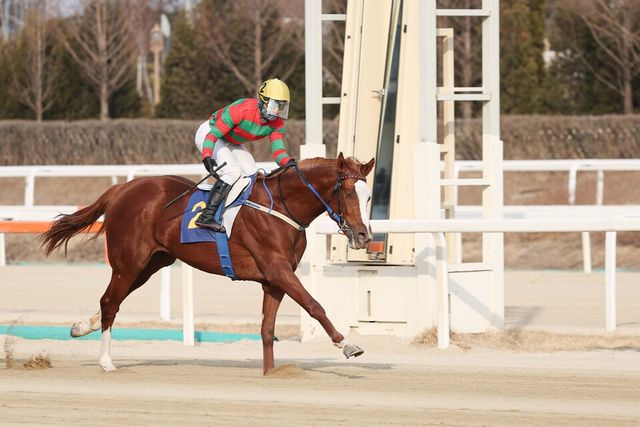 23일 열린 제38회 스포츠서울배에서 우승마 찬페이머스. /한국마사회 제공