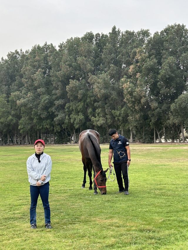 훈련 후 휴식 취하는 글로벌히트와 인터뷰 응하는 김혜선 기수. /한국마사회 제공