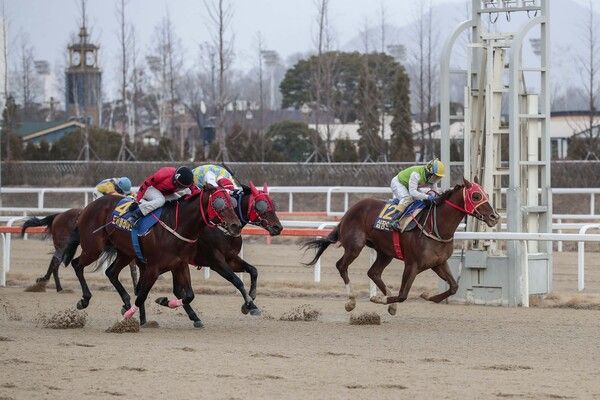 2020년 1월 19일 세계일보배 우승한 심장의고동과 박태종 기수. /한국마사회 제공