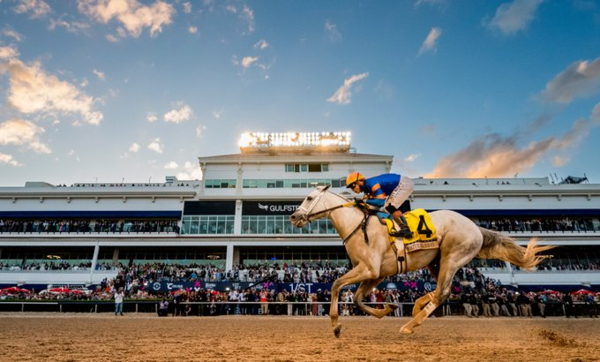 페가수스 월드컵(G1) 우승마 화이트아바리오. /페가수스월드컵 SNS