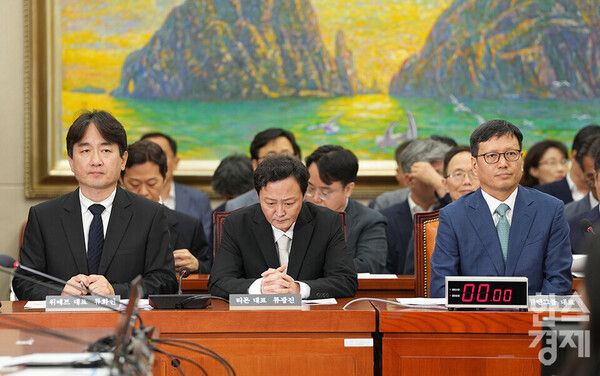 류화현 위메프 대표(왼쪽부터), 류광진 티몬 대표, 구영배 큐텐그룹 대표가 7월 30일 서울 여의도 국회 정무위원회에서 티몬·위메프의 정산 및 환불 지연 사태와 관련해 긴급현안 질의에 참석하고 있다. /최대성 기자 dpdaesung@sporbiz.co.kr 2024.07.30.