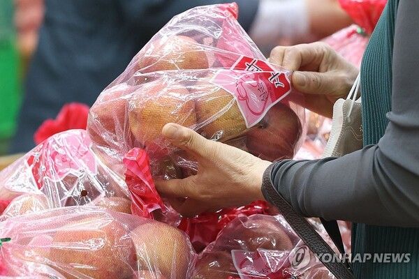 한국은행이 21일 발표한 '2025년 2월 생산자물가지수(잠정)'에 따르면, 2월 생산자물가지수는 120.33으로 1월 120.27과 비교해 소폭 상승했다. /연합뉴스