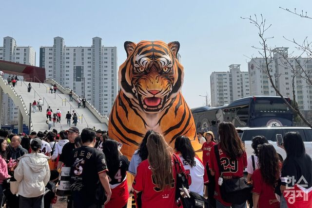 광주 기아챔피언스필드에 배치된 호랑이 조형물. /강상헌 기자