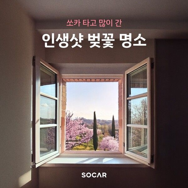 쏘카는 이용자들의 정차 데이터를 기반으로 집계한 벚꽃 명소를 24일 공개했다./쏘카