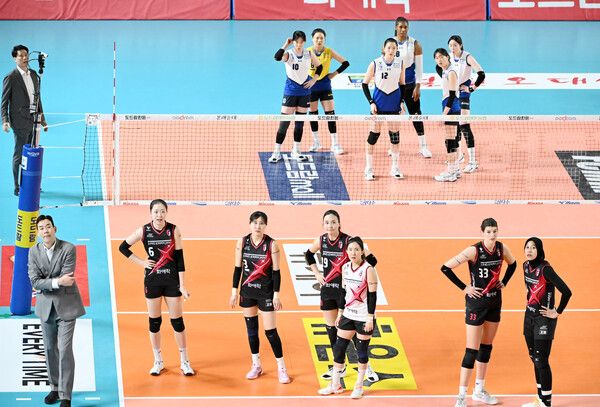 현대건설(위)과 정관장. /한국배구연맹 제공