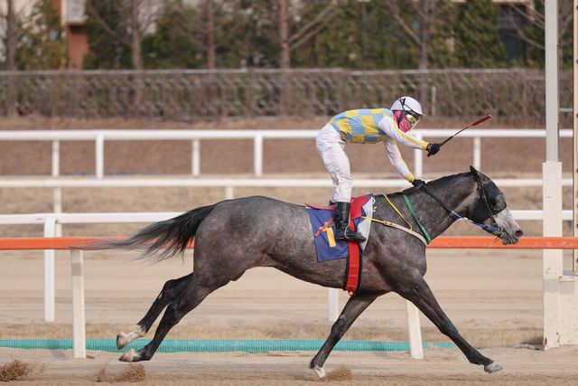 3월 23일 동아일보배에서 우승한 '글라디우스'와 장추열 기수. /한국마사회 제공