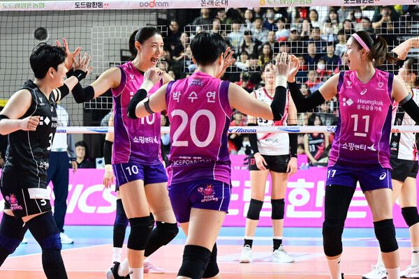 프로배구 V리그 여자부 흥국생명. /한국배구연맹 제공