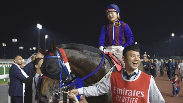 출전 준비하는 글로벌히트. /한국마사회 제공