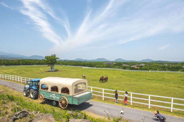 제주목장 전경. /한국마사회 제공