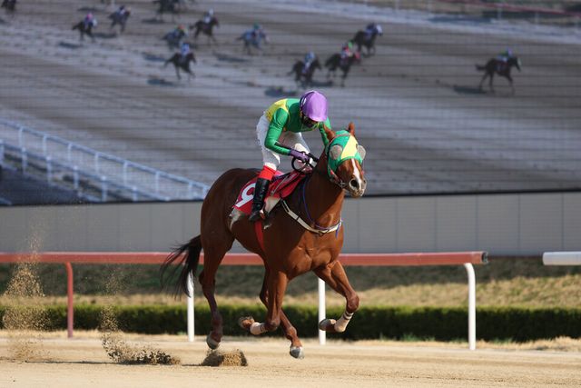 4월 6일 제21회 KRA컵마일(G2) 우승마 '오아시스블루'와 진겸 기수. /한국마사회 제공