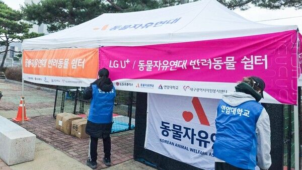 의성체육관 인근에 설치된 국내 최초 반려동물 특화 구호소. /LG유플러스
