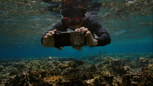 삼성전자가 해양 보호를 위해 갤럭시 카메라 기술을 활용한 해양 생태계 복원 프로젝트 '코랄 인 포커스(Coral in Focus)'를 위해 산호초를 찍고 있는 모습./삼성전자&nbsp;