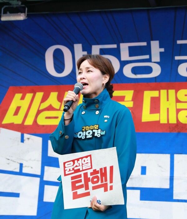 임오경 더불어민주당 의원. /임오경 의원실 제공