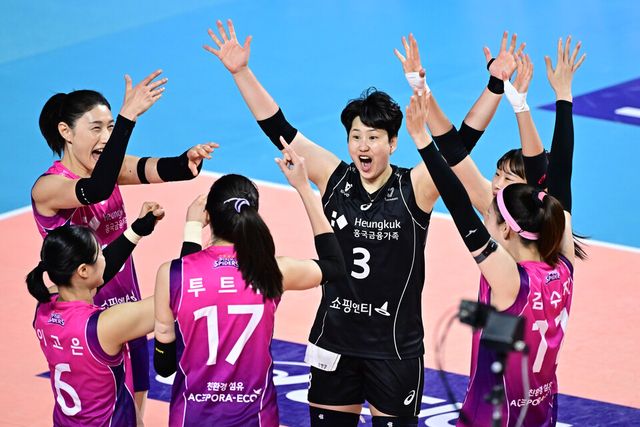 프로배구 V리그 여자부 흥국생명. /한국배구연맹 제공