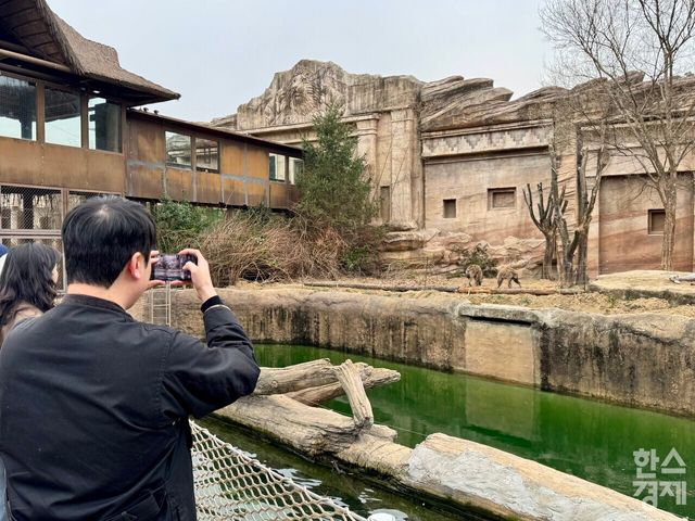 에버랜드 사파리 도보 탐험 '리버 트레일 어드벤처'. /강상헌 기자