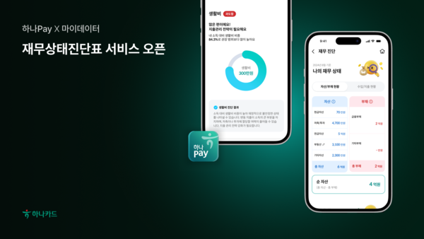 개인의 재무 상태를 종합 진단해주는 '재무상태진단표'. / 하나카드 제공