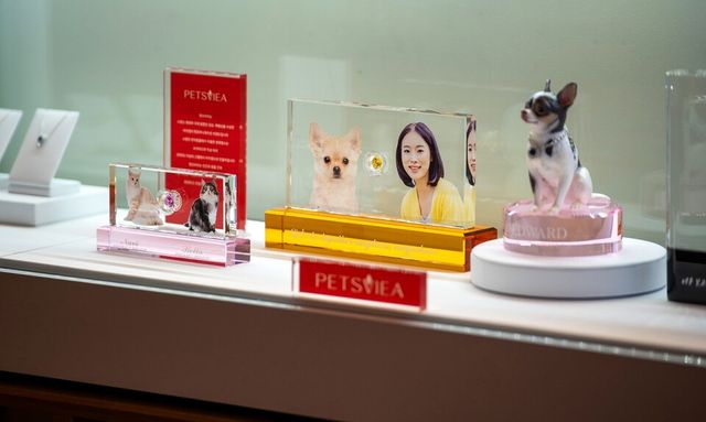 21그램 경기광주점에 전시된 펫츠비아./보람그룹