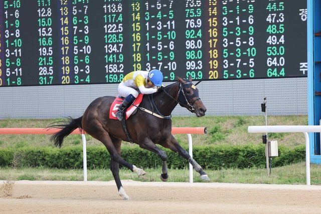 2024년 6월 2일 제17회 KNN배 우승한 원더풀슬루. /한국마사회 제공