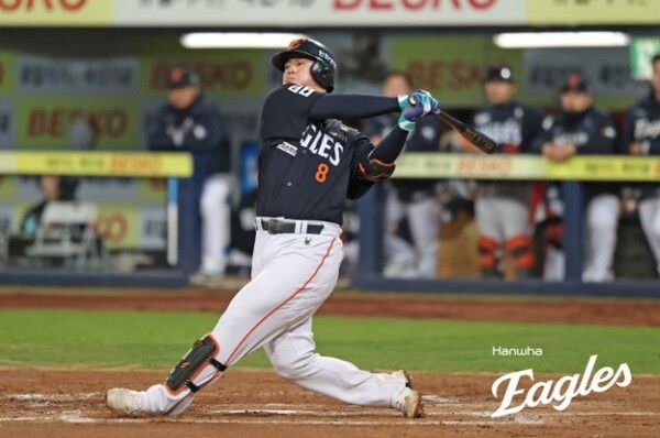 프로야구 한화 이글스 노시환. /한화 이글스 제공