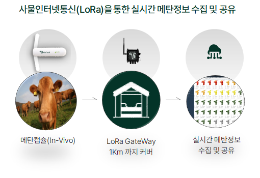 메텍홀딩스가 경구투여형 메탄캡슐을 활용해 지역별 일반 농가와 저탄소 축산농가 탄소배출량을 비교한 메탄가스 배출량 실측 데이터를 공개했다./메텍홀딩스&nbsp;