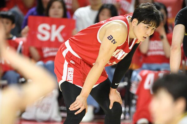프로농구 서울 SK 나이츠 안영준. /KBL 제공