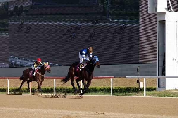 판타스틱밸류의 우승장면. /한국마사회 제공