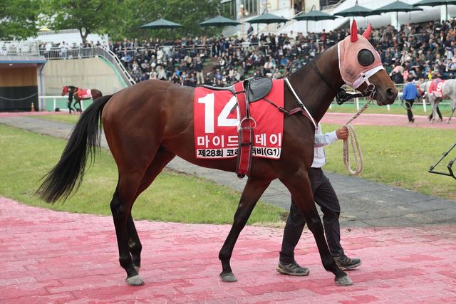 마이드림데이. /한국마사회 제공